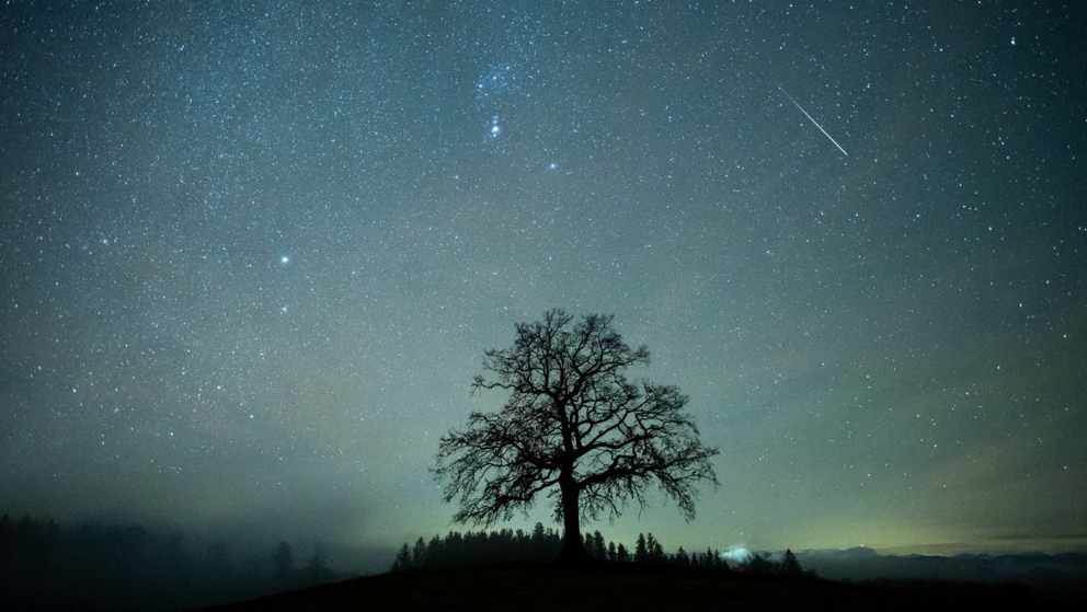 Mark your calendar for the strongest meteor shower of the year