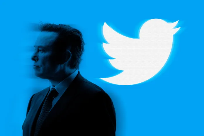 Who could be Elon Musk's successor at Twitter?